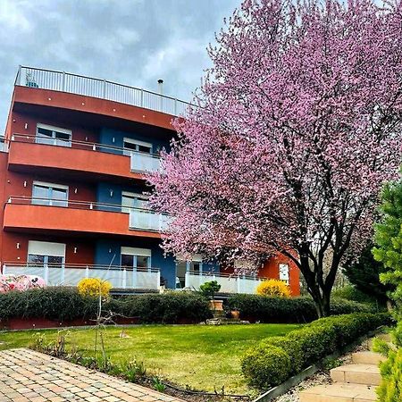 Rosehill Garden Family Villa With A Great Budapest View 外观 照片