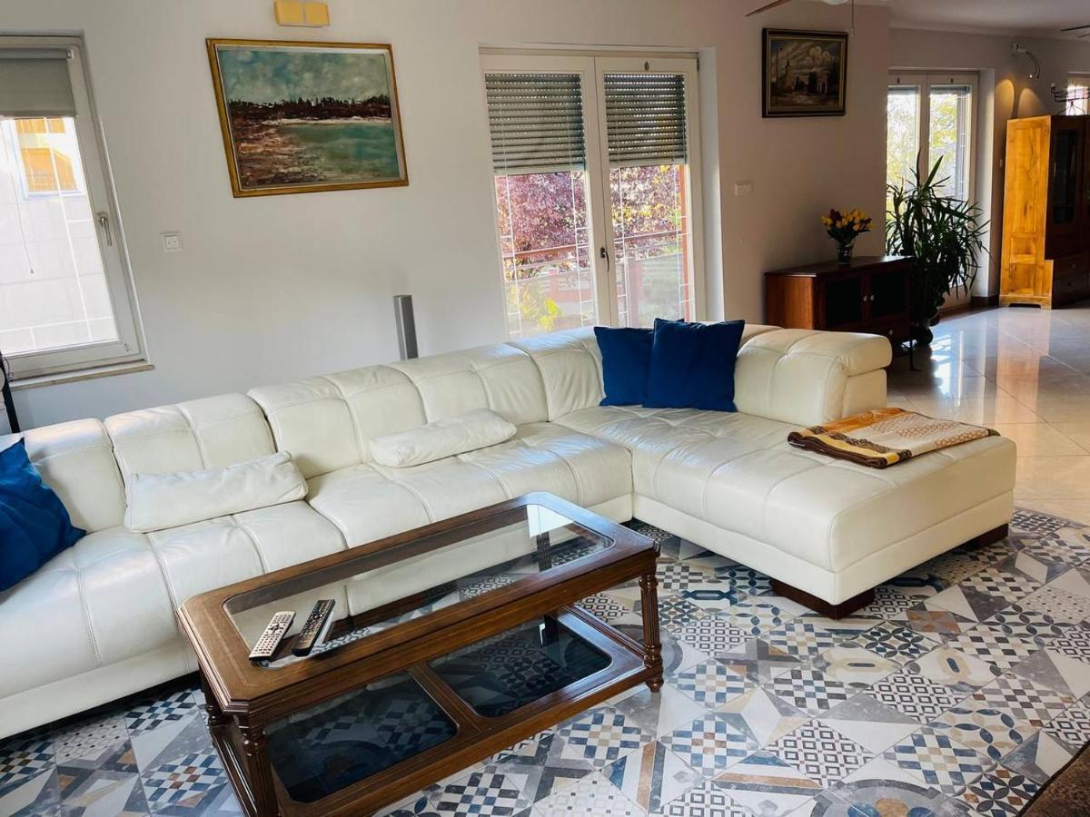 Rosehill Garden Family Villa With A Great Budapest View 外观 照片