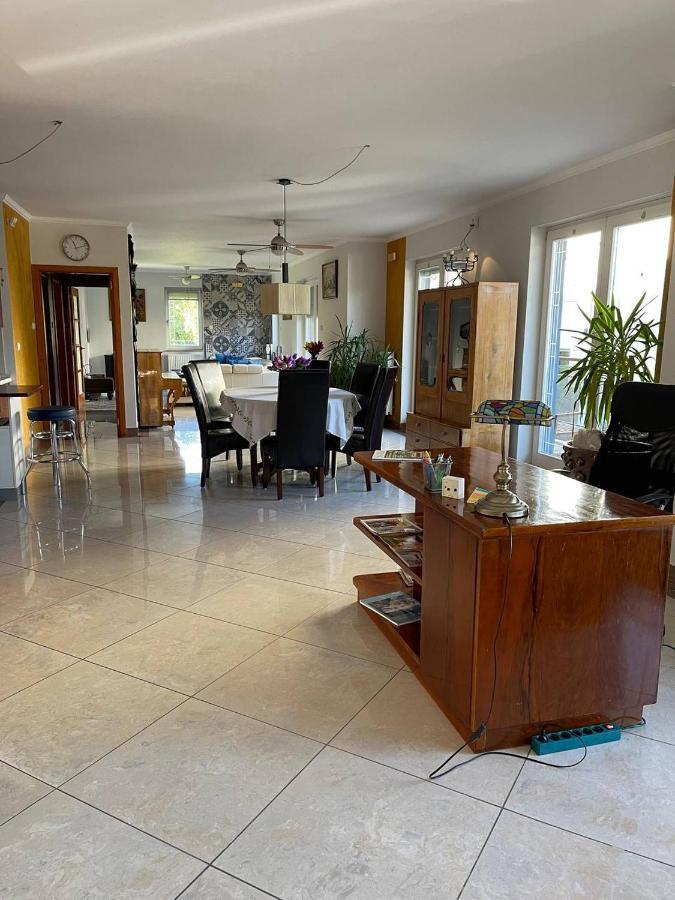 Rosehill Garden Family Villa With A Great Budapest View 外观 照片