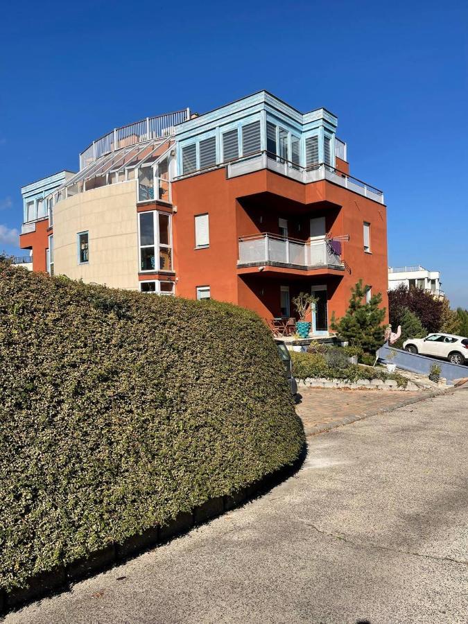 Rosehill Garden Family Villa With A Great Budapest View 外观 照片