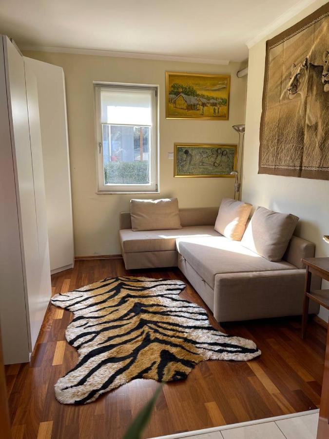 Rosehill Garden Family Villa With A Great Budapest View 外观 照片