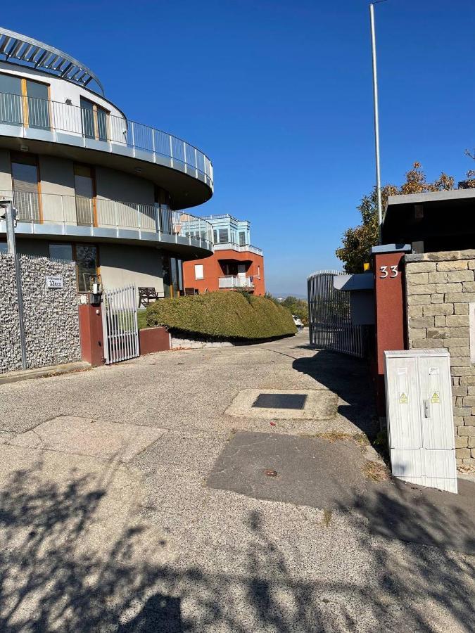 Rosehill Garden Family Villa With A Great Budapest View 外观 照片