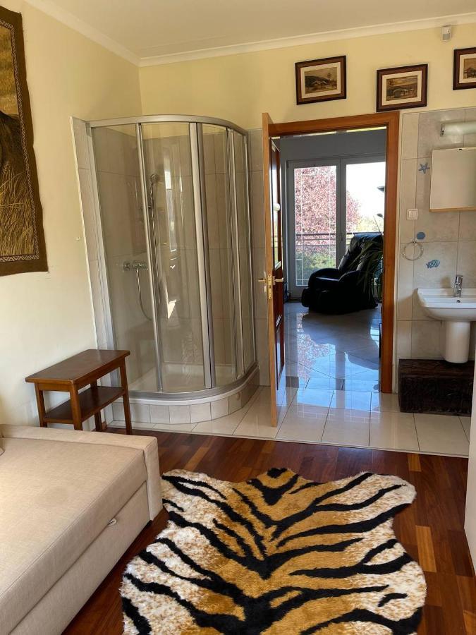 Rosehill Garden Family Villa With A Great Budapest View 外观 照片