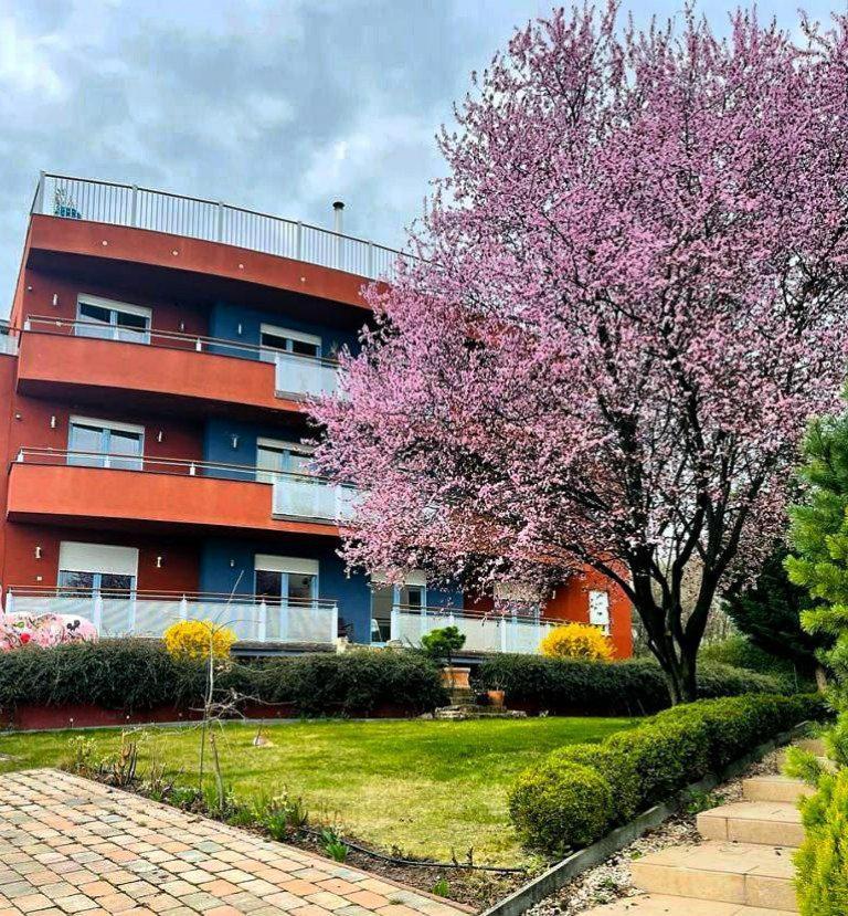 Rosehill Garden Family Villa With A Great Budapest View 外观 照片