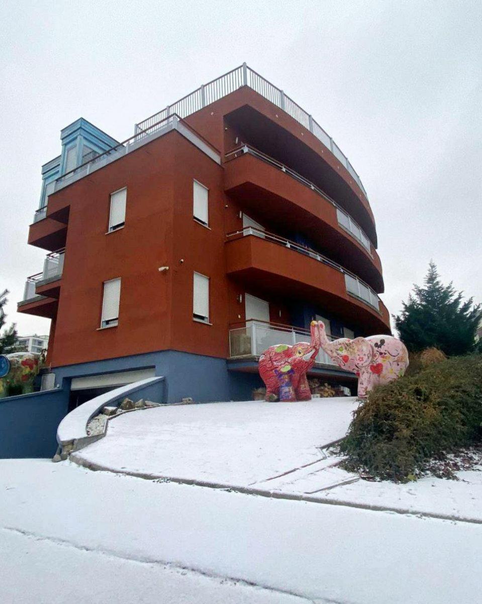 Rosehill Garden Family Villa With A Great Budapest View 外观 照片
